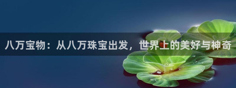 新宝5娱乐招商：八万宝物：从八万珠宝出发，世界上的美好与神奇