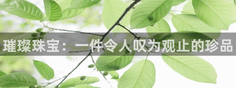 新宝5 注册：璀璨珠宝：一件令人叹为观止的珍品