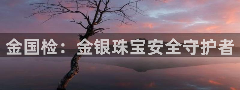 新宝5的网址：金国检：金银珠宝安全守护者