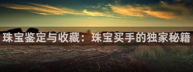 新宝5巅峰：珠宝鉴定与收藏：珠宝买手的独家秘籍