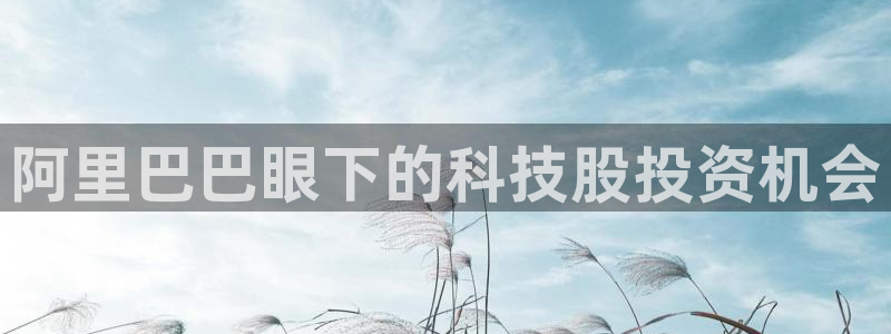 新宝5彩票娱乐平台：阿里巴巴眼下的科技股投资机会