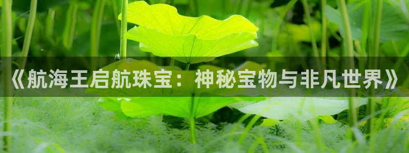 新宝cR一5：《航海王启航珠宝：神秘宝物与非凡世界》
