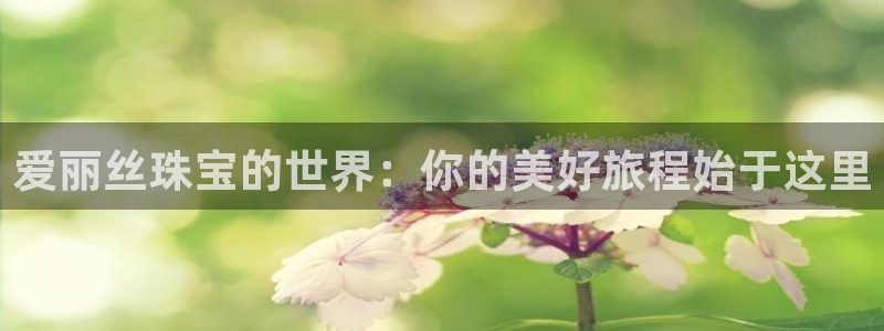 有人知道新宝5么：爱丽丝珠宝的世界：你的美好旅程始于这里