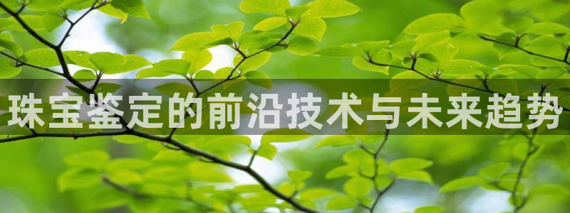 新宝b2O5O5O：珠宝鉴定的前沿技术与未来趋势