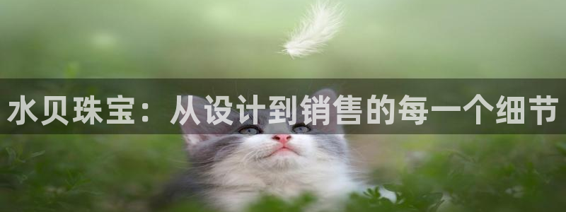 新宝5地址：水贝珠宝：从设计到销售的每一个细节