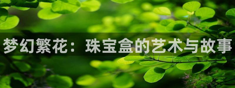 新宝j2O5O5O：梦幻繁花：珠宝盒的艺术与故事