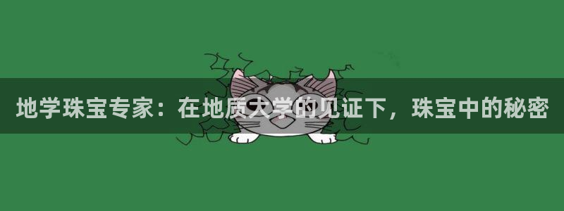 新宝5什么时候上市