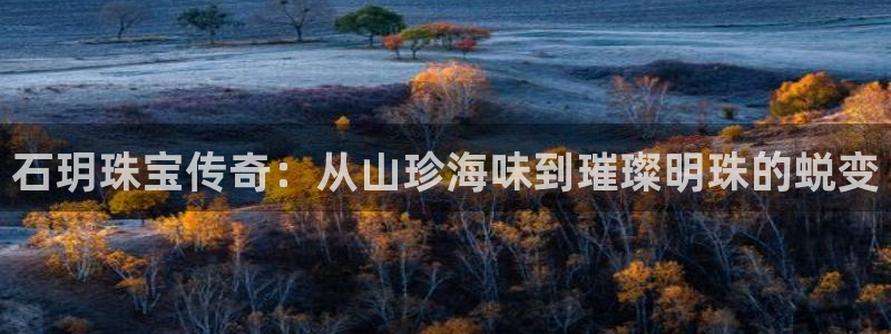 新宝5导师：石玥珠宝传奇：从山珍海味到璀璨明珠的蜕变
