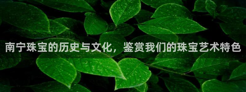 新宝5娱乐手机登录：南宁珠宝的历史与文化，鉴赏我们的珠宝艺术特色