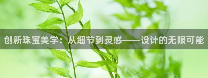 新宝5寻33 300球：创新珠宝美学：从细节到灵感——设计的无限可能