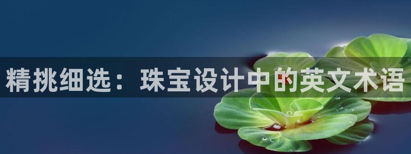 新宝5手机版登录：精挑细选：珠宝设计中的英文术语