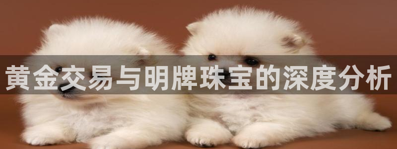 新宝股东王听2 5 5：黄金交易与明牌珠宝的深度分析