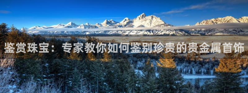 新宝5登录：鉴赏珠宝：专家教你如何鉴别珍贵的贵金属首饰
