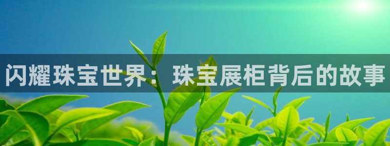 新宝股东张听2 5 5