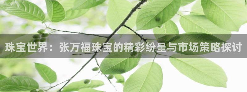 新宝5系列