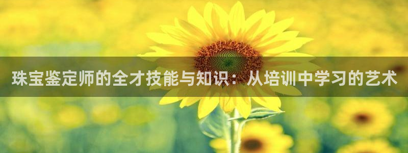 新宝5注册登录：珠宝鉴定师的全才技能与知识：从培训中学习的艺术