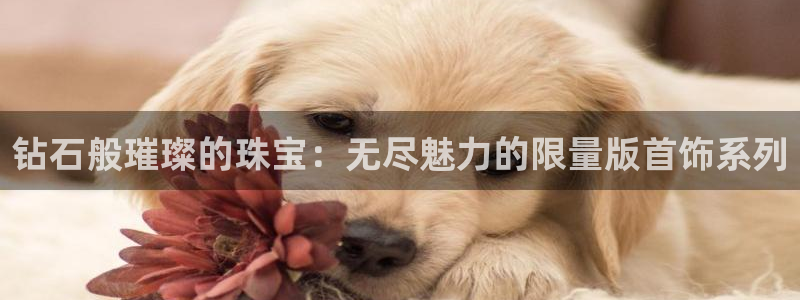 新宝5注册霸：钻石般璀璨的珠宝：无尽魅力的限量版首饰系列