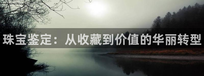 老新宝5授权登录：珠宝鉴定：从收藏到价值的华丽转型