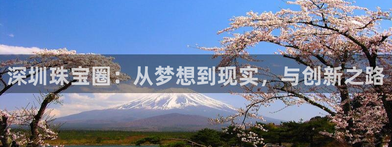 新宝5黑彩：深圳珠宝圈：从梦想到现实，与创新之路