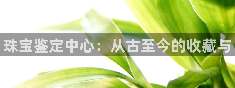 新宝5官网平台