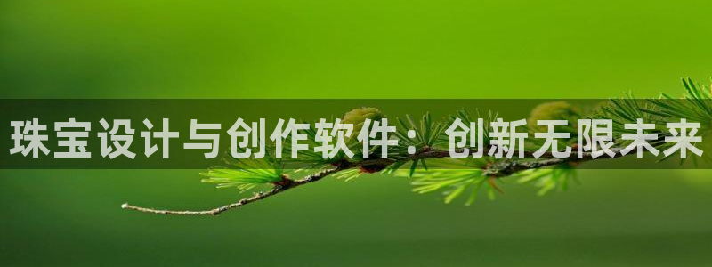 新宝5娱乐家：珠宝设计与创作软件：创新无限未来